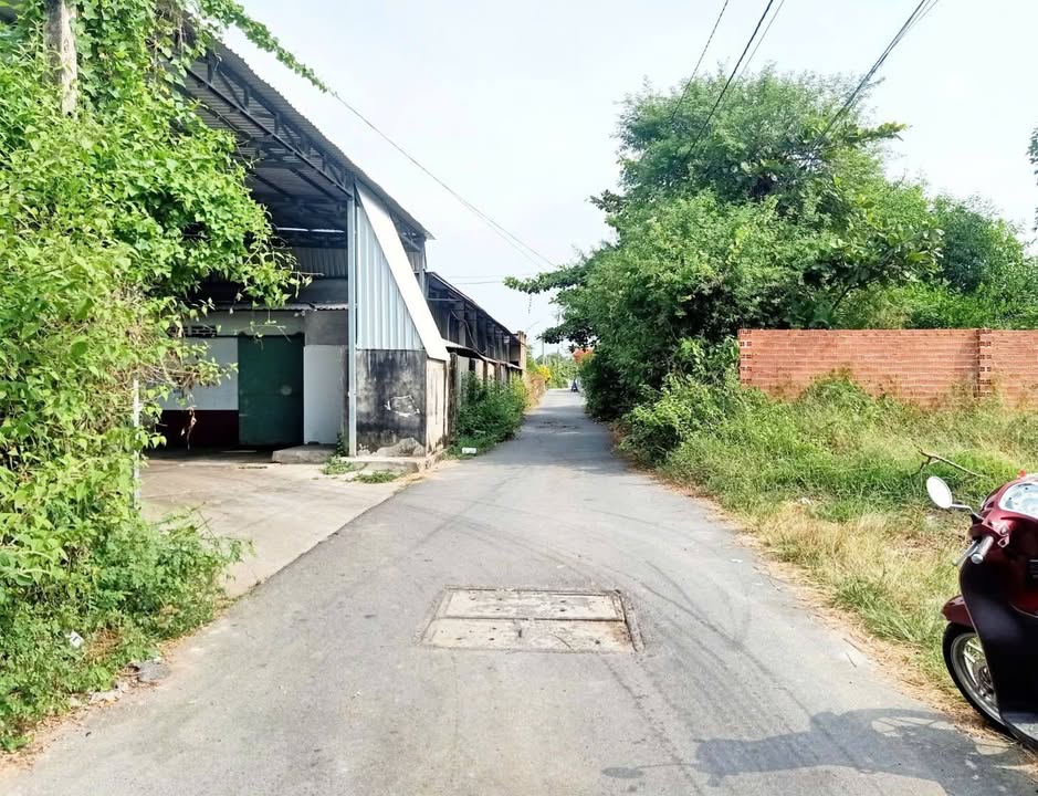 Đất nền xã Long Điền 232m² giá 2.25 tỷ - Gần chợ, trường học, bệnh viện!