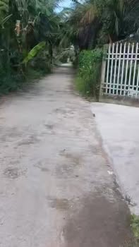 Đất nền 200m² tại Tân Hội, Cai Lậy - Giá chỉ 600 triệu, khu vực mát mẻ!