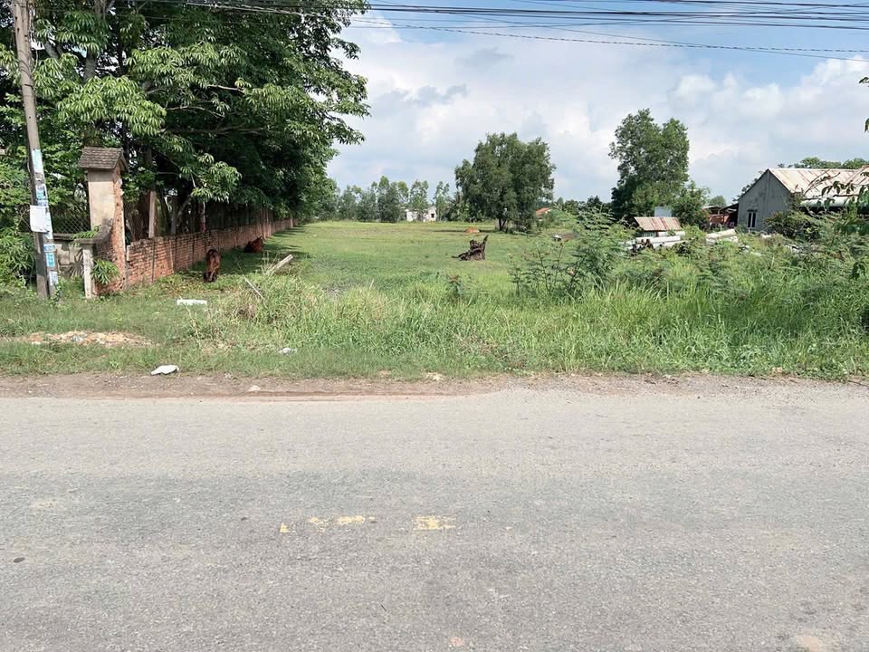 Đất thổ cư 7600m² tại Xã Đức Lập Hạ, Huyện Đức Hòa - Giá chỉ 28 tỷ!