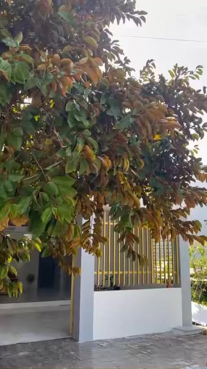 Cho thuê nhà gác đúc mặt tiền Bờ Đầm, Hòa Phước, 100m² - Giá chỉ 5.5 triệu/tháng!