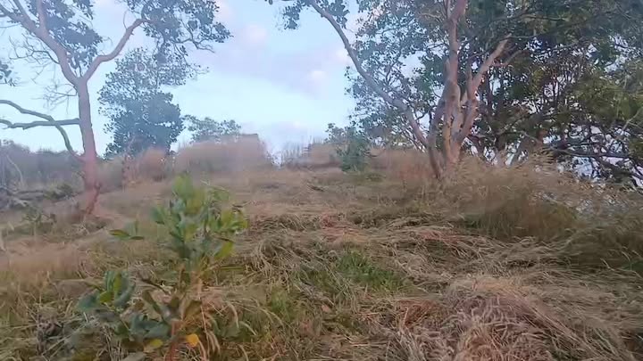 Đất nông nghiệp 2ha tại Xã Hưng Bình, Đắk R'Lấp giá chỉ 400 triệu - Cơ hội đầu tư tuyệt vời!