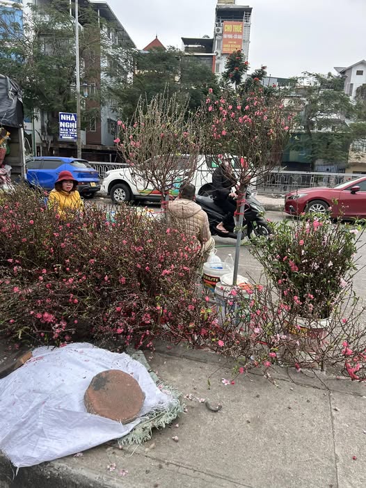 Nhà đẹp, full nội thất 45m², 4 phòng ngủ tại trung tâm Hai Bà Trưng - Sổ đỏ chính chủ, chỉ 8.66 tỷ