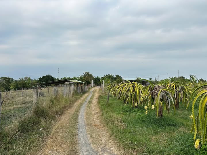 Đất thổ cư thôn 3 xã Hồng Sơn, Lâm Đồng 3323m² - Lô góc 2 mặt tiền, giá chỉ 1 tỷ!