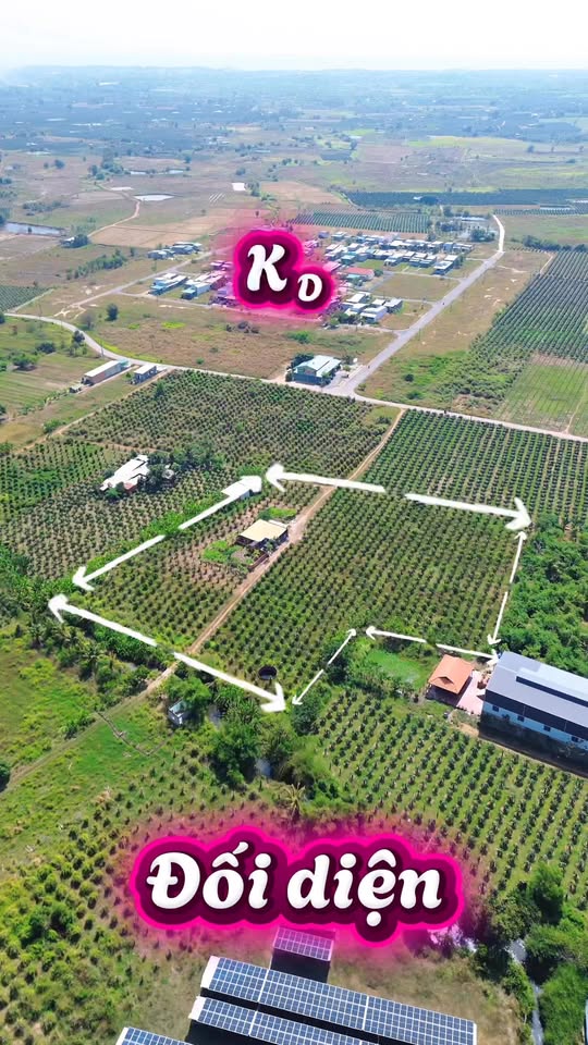 Đất nền Tân Thuận 2328m² giá 6.5 tỷ - Quy hoạch ONT 100%