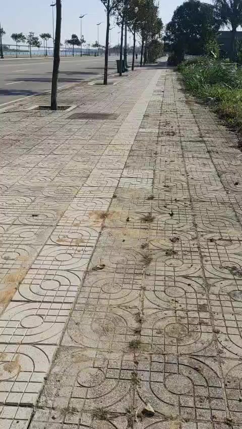 Đất mặt tiền đường Trường Sa, Quảng Ngãi 400m² - View Sông Trà Khúc