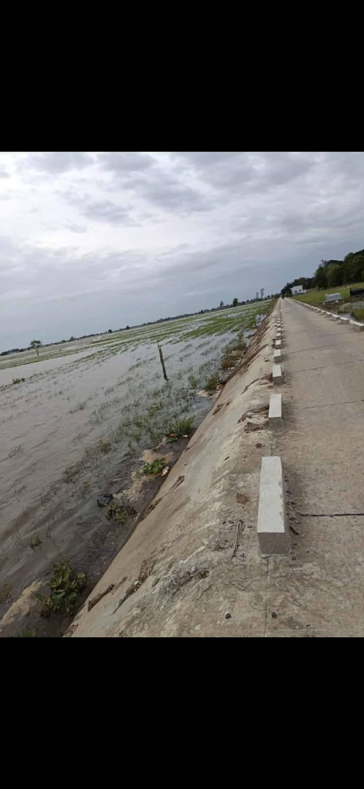 Đất nền 5.000m² tại xã Vĩnh Hậu, An Phú - Giá 700 triệu, thương lượng tốt!