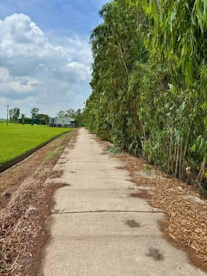 Đất vườn 5882m² tại đường 30/4, xã Phú Vĩnh, giá 1.764 tỷ - Tiềm năng đầu tư lớn!