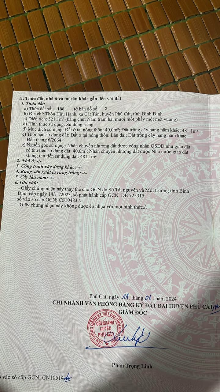 Đất thổ cư 521m² tại Thôn Hữu Hạnh, Phù Cát giá chỉ 500 triệu - Cơ hội đầu tư hấp dẫn!