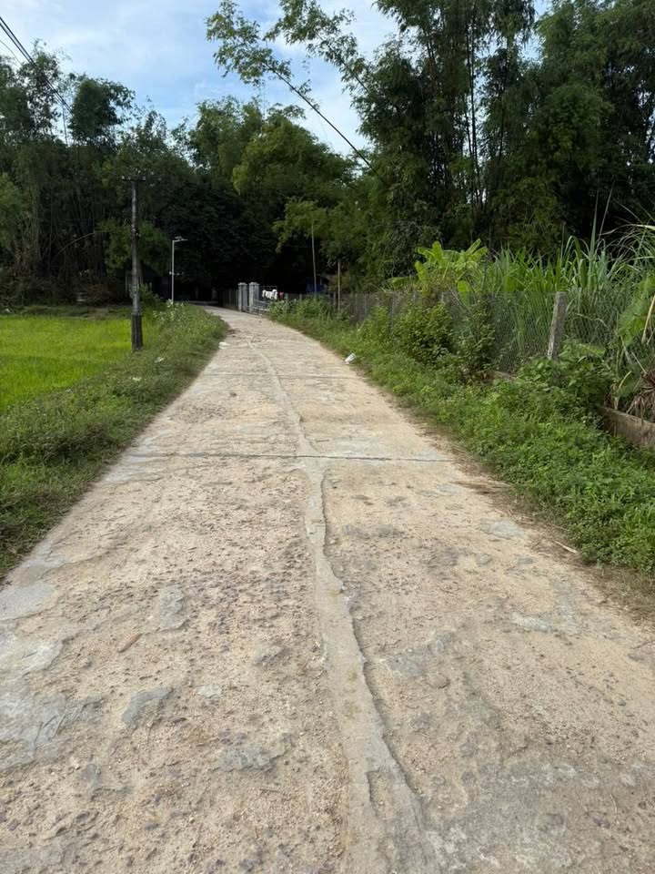 Đất nền Kiều Huyên, Cát Tân, Phù Cát 1000m² chỉ 89 triệu - Đầu tư ngay!