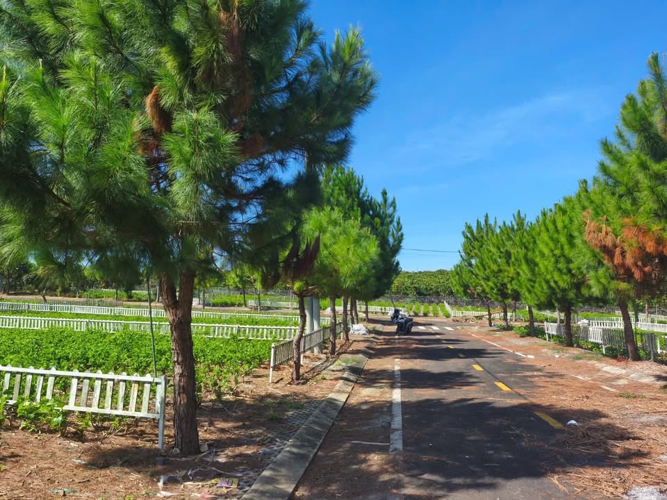 Đất nền Bảo Lộc 230m² giá 900 triệu - Sổ hồng chính chủ!