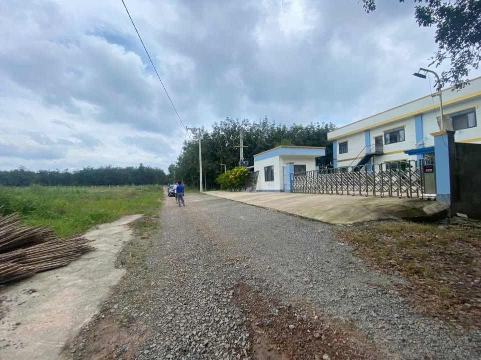 Kho xưởng 6300m² tại Xã Long Nguyên, Huyện Bàu Bàng - Cơ hội đầu tư hấp dẫn!