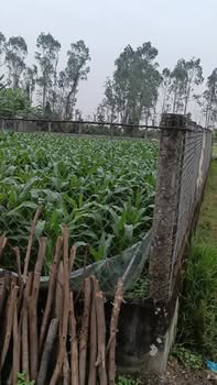 Đất nền Hùng Tiến, Kim Liên, 257m² giá 1.2 tỷ - Cơ hội đầu tư tốt!