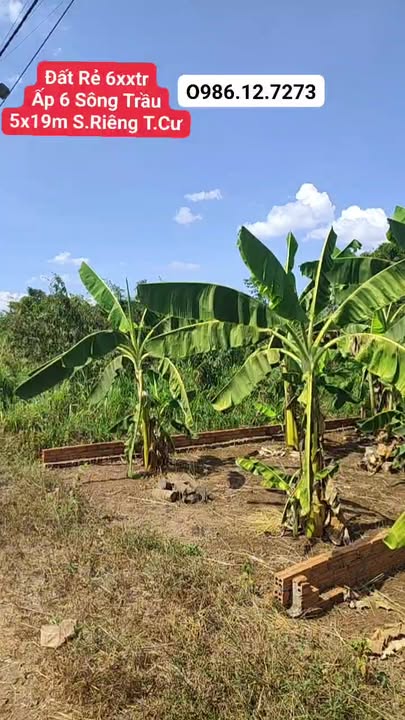 Đất nền Ấp 6 Sông Trầu 95m² giá 660 triệu - Sổ riêng thổ cư, xây nhà ngay!