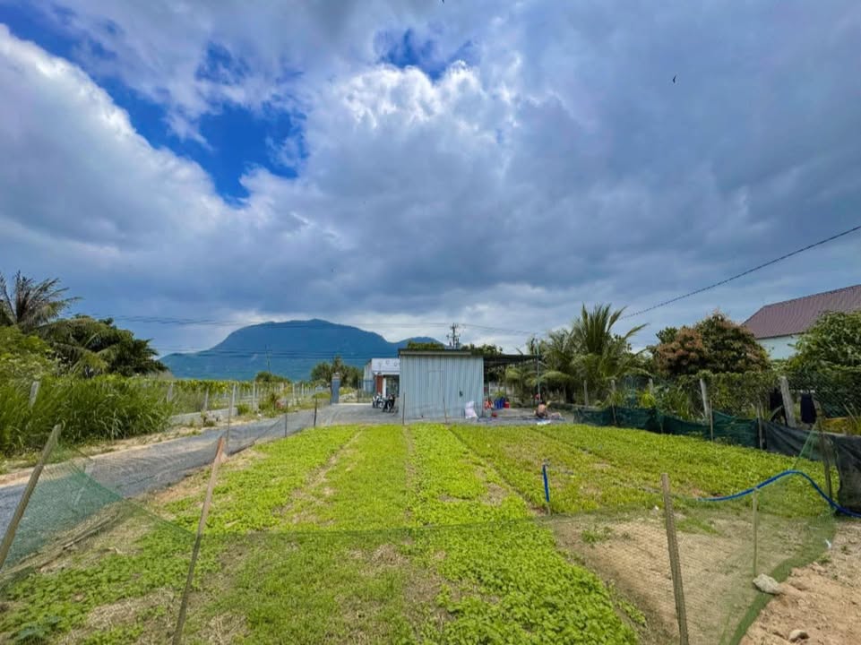 Đất nhà vườn TDP Tân Hiệp 1600m² giá tốt - Đầu tư lý tưởng!