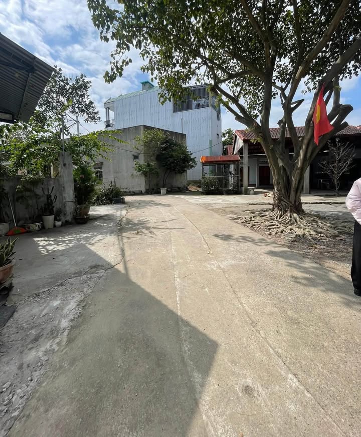 Đất Hòa Khánh Nam 83.5m² giá 2.05 tỷ - Nở hậu, ô tô đậu 24/24!