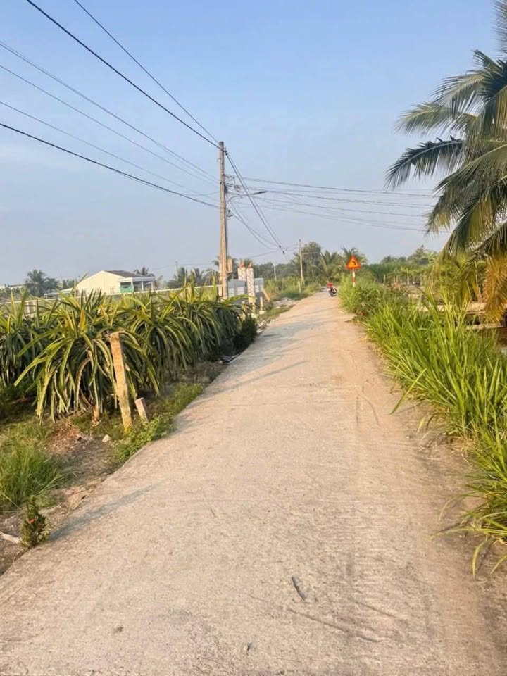 Đất nền Châu Thành Long An 1200m² giá 1 tỷ - Đầu tư tiềm năng không thể bỏ qua!