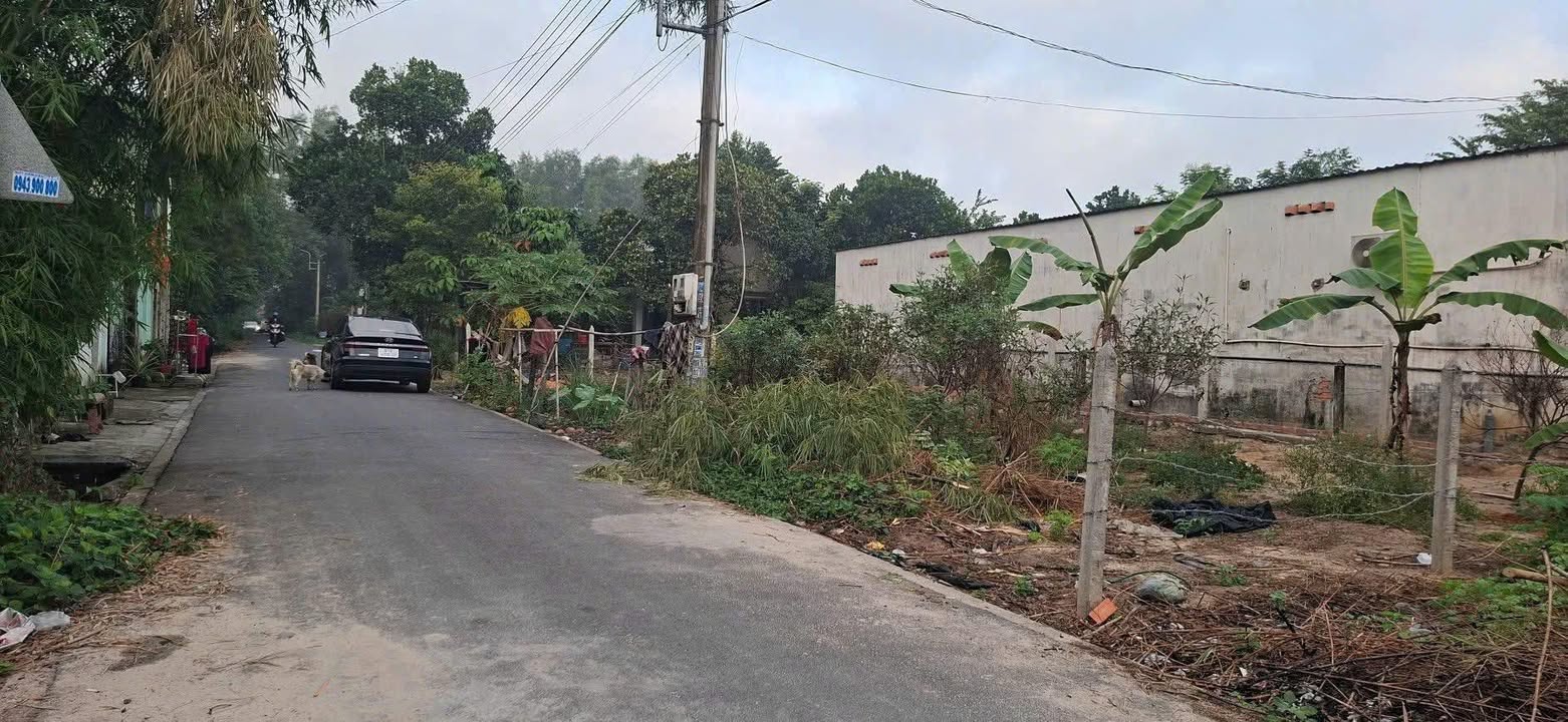 FrontHouse Phú An 180m² giá 1.4 tỷ - Mặt tiền kinh doanh lý tưởng!