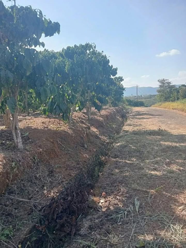 Đất nền 2880m² Xã Lộc Lâm, Huyện Bảo Lâm giá 2.6 tỷ - Đường nhựa rộng rãi!