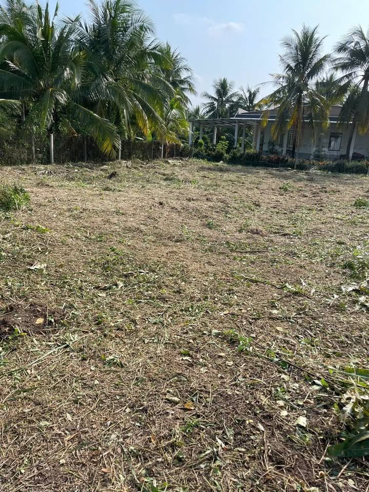 Đất nền 1000m² tại Khu phố 1, Phường 10, Mỹ Tho - Sổ hồng riêng, giá chỉ 2.98 tỷ!