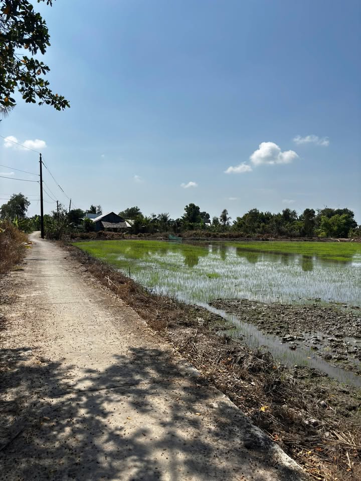 Đất nền 1600m² tại Vĩnh Hòa Hưng Bắc, Gò Quao, Kiên Giang chỉ 269 triệu - Cơ hội đầu tư tuyệt vời!