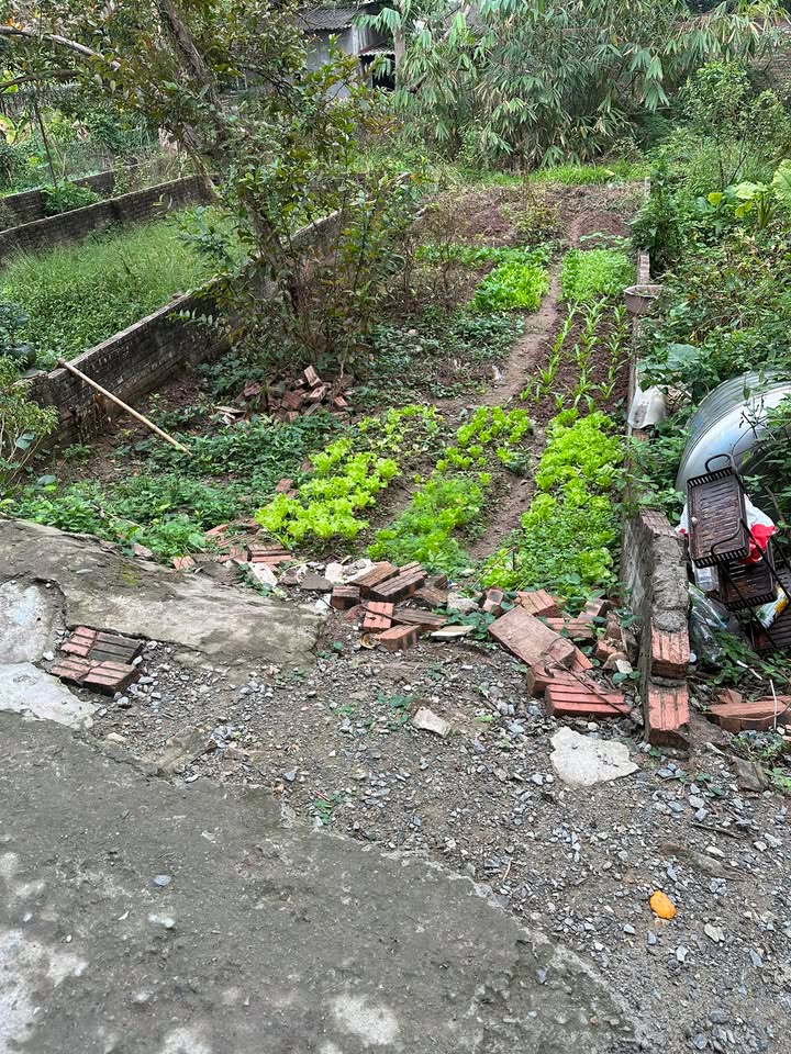 Nhà mặt tiền Cừ Keo, Gia Lâm 60m² giá thỏa thuận - Giao dịch nhanh chóng!