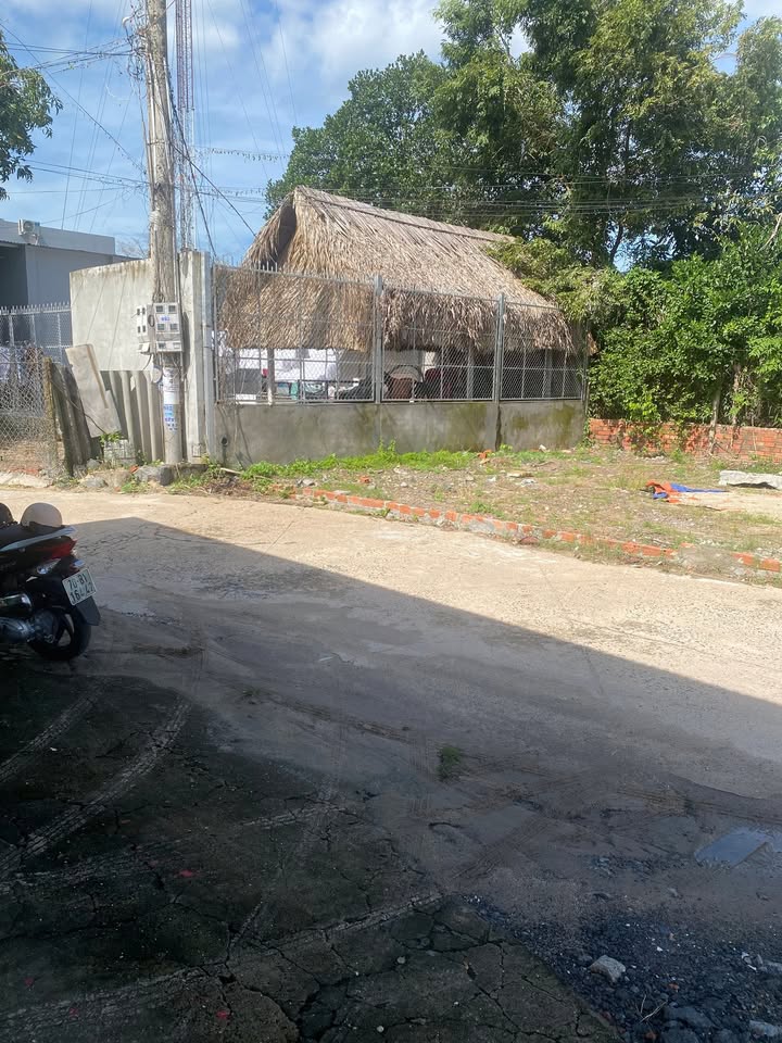 Đất nền Xã Mỹ Hạnh Bắc, Huyện Đức Hòa, 100m² giá chỉ 1.15 tỷ - Đầu tư sinh lời ngay!