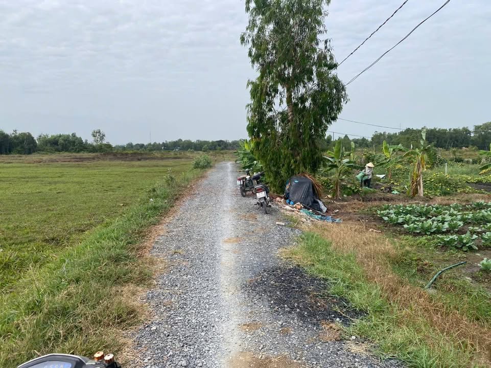 Đất hẻm 9, Phường Long Bình, 2548m² - Sổ hồng chính chủ, giá thương lượng hấp dẫn!