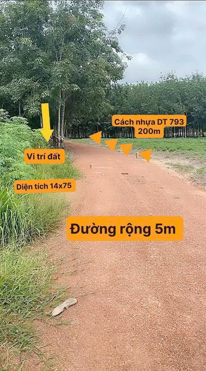 Đất nền Thạnh Đông, Tân Châu 1050m² chỉ 200 triệu - Cơ hội đầu tư hấp dẫn!