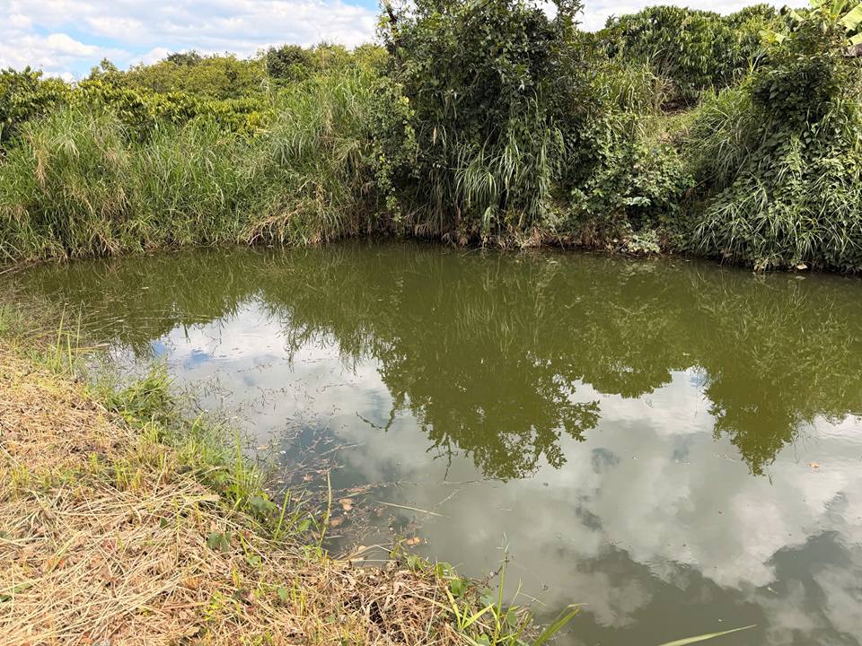 Đất nền Huyện Tân Lạc 1188m² giá 4 tỷ - Đất bằng đẹp, gần khu dân cư!