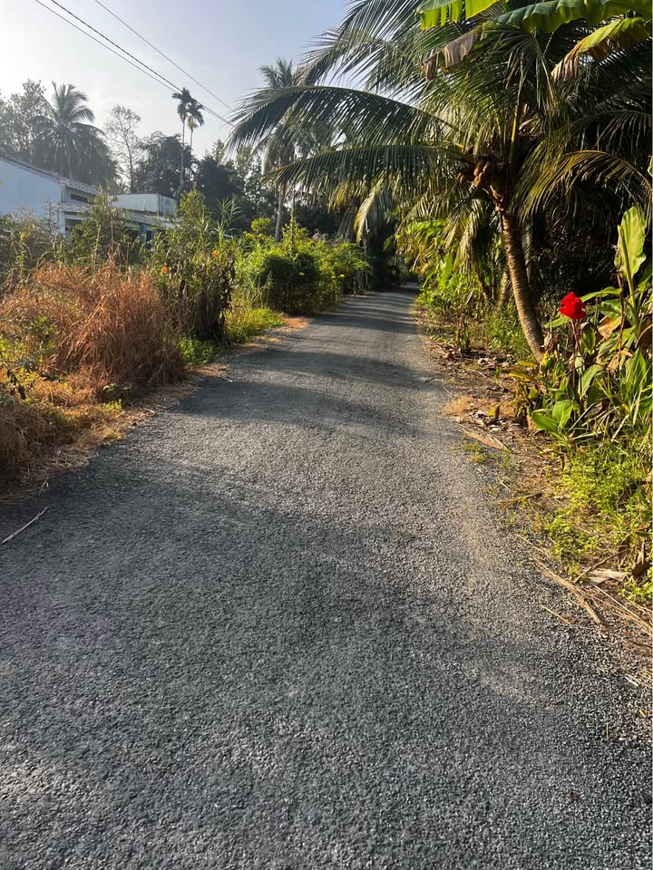 Đất nền thổ cư Tân Long Hội 200m² giá 370 triệu - Sổ đỏ chính chủ