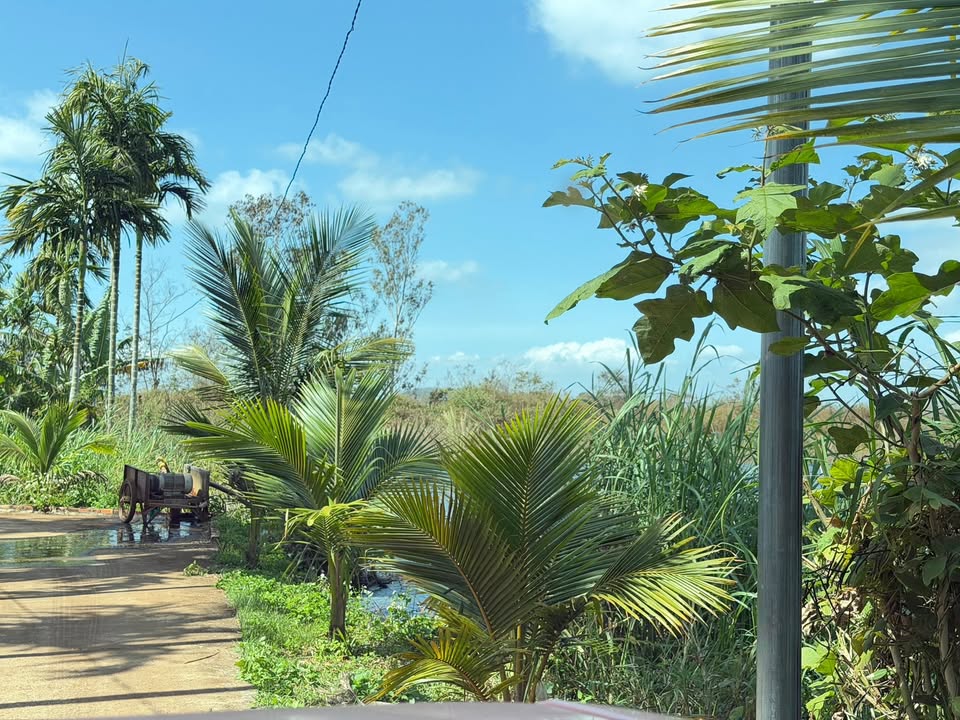 Đất nền view hồ Chukap tại Hòa Thắng, 2475m² giá 7.9 tỷ - Đầu tư sinh lời hấp dẫn!