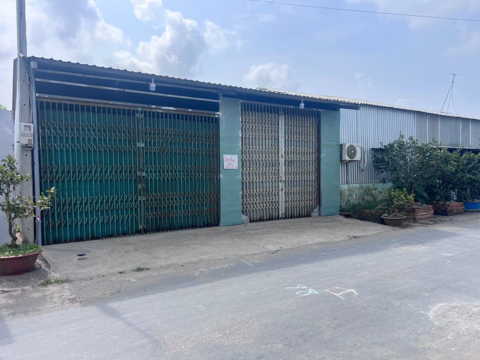 Nhà cho thuê Ấp Phong Lưu, Xã Vĩnh Lộc, 8m mặt tiền chỉ 1.5 triệu/tháng!