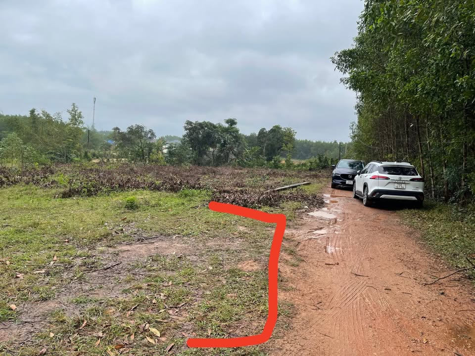 Đất nền Huyện Hải Lăng 110m² giá thỏa thuận - Đầu tư sinh lời ngay!