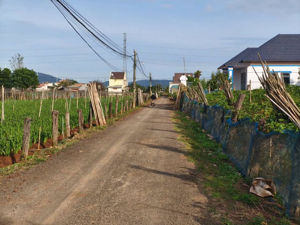 Đất thổ cư 200m² tại Thôn 34, Xã Phú Hội, Đức Trọng - Giá chỉ 2.6 tỷ, cơ hội đầu tư vàng!