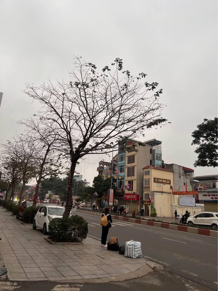 Nhà phố Quang Trung Hà Đông 30m² giá 6 tỷ - Tiềm năng sinh lời cao!