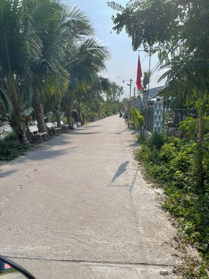 Đất nền Tân Hiệp, An Giang 292m² giá 800 triệu - Chính chủ bán gấp!