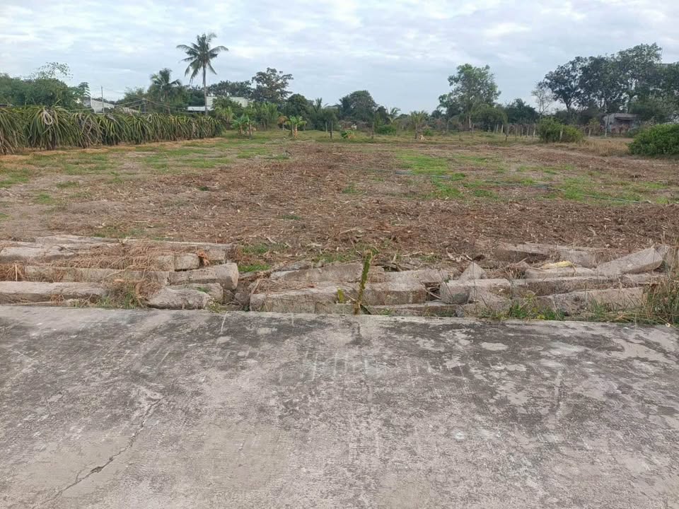 Đất thổ cư 1000m² tại Phong Nẫm, Phan Thiết - Chính chủ bán gấp