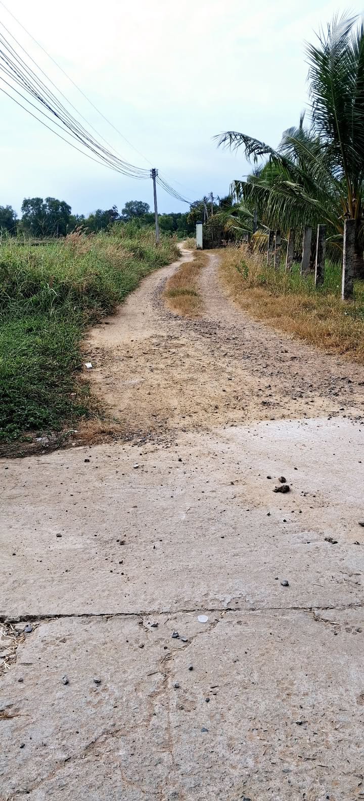 Đất thổ cư 720m² tại xã Hàm Liêm, giá 900 triệu - Sổ đỏ chính chủ