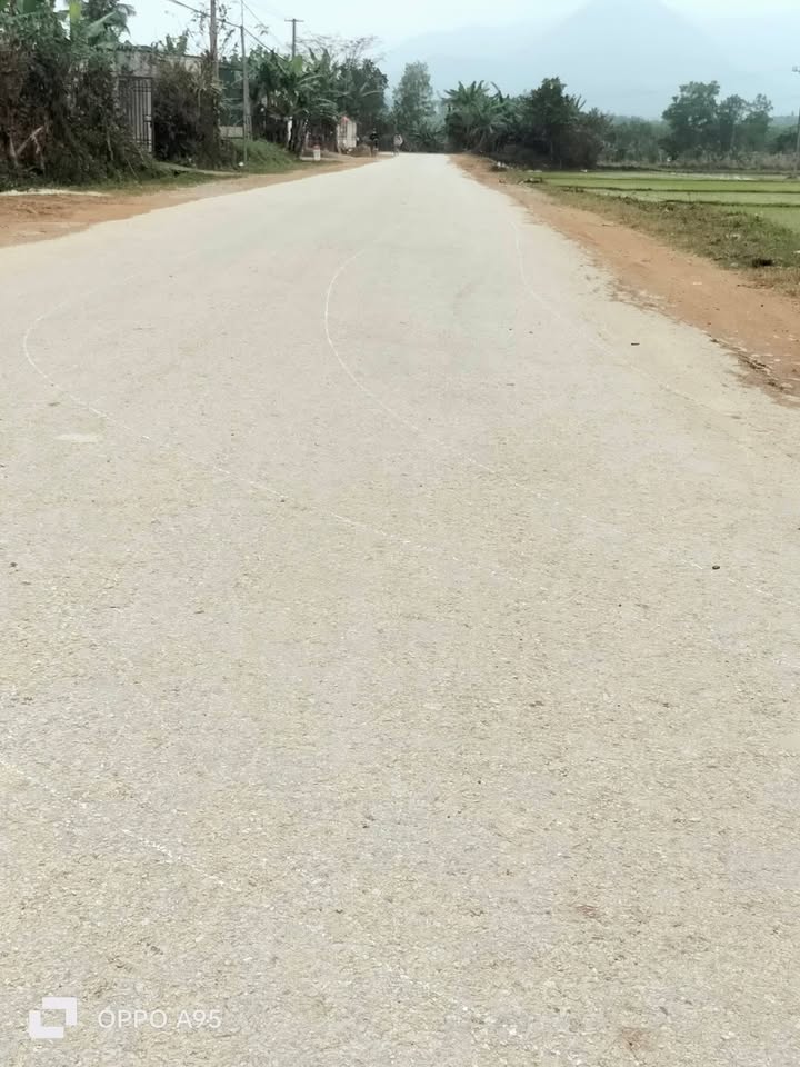 Đất thổ cư 175m² tại thôn Đồng Nghiêm, xã Mậu Lâm chỉ 500 triệu - Đầu tư sinh lời ngay!