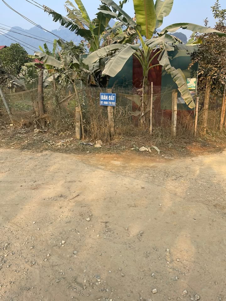 Đất thổ cư 100m² mặt đường nhựa Phong Quang - Giá chỉ 650 triệu!