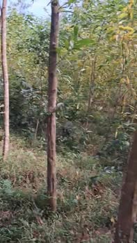 Đất nền 459m² xã Bình Hòa, giá 59 triệu - Cơ hội vàng đầu tư!