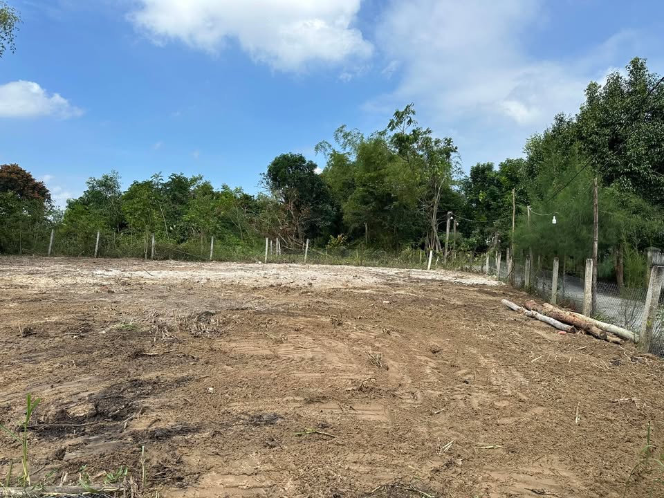 Đất nền Xã Tam Thăng 300m² giá chỉ 700 triệu - Pháp lý rõ ràng