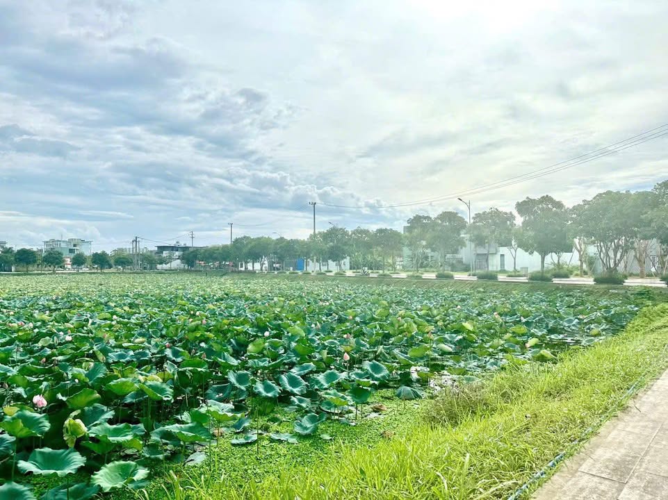 Lô đất KDC ADB Tam Kỳ 150m² giá 3 tỷ - Hướng Tây Nam, đầu tư sinh lời!