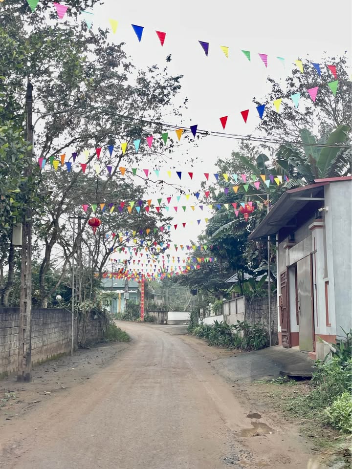 Đất nền Trục Phú Hộ, 100m² giá chỉ 600 triệu - Cơ hội đầu tư tuyệt vời!