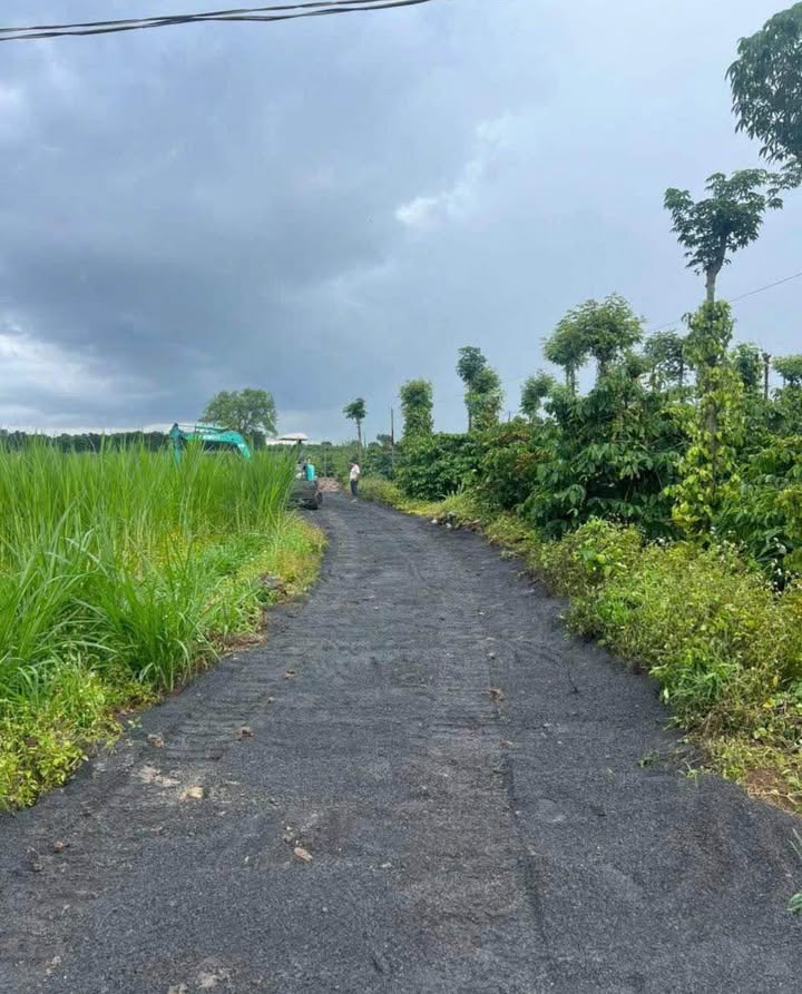 Lô đất 3300m² tại Thôn Ba Cảng, Xã Tân Hội, 1.9 tỷ - Cơ hội đầu tư hấp dẫn!