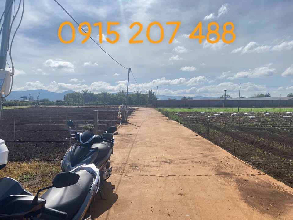 Đất nền Tân Thành, Đức Trọng 100m² giá 1.15 tỷ - Đường ô tô vào tận đất!