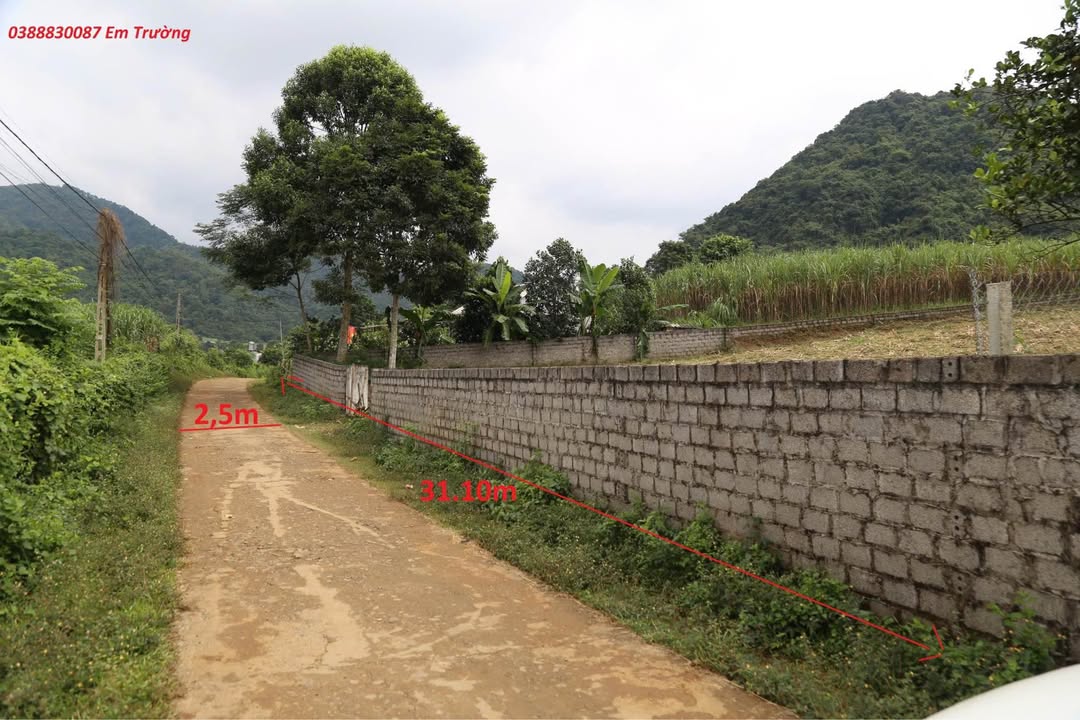 Đất thổ cư 1000m² tại Hợp Phong - Cao Phong - Giá chỉ 1 tỷ!