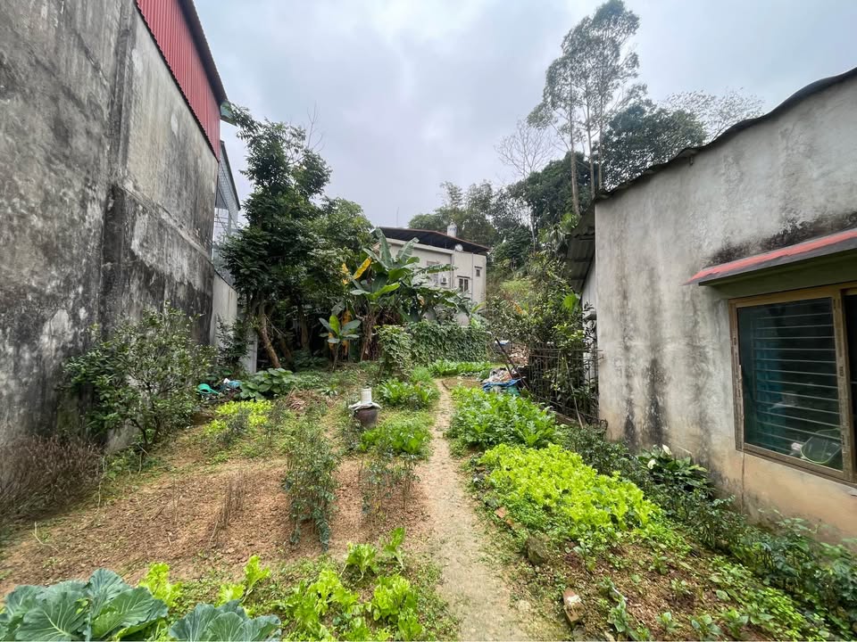 Đất nền 500m² đường Nguyễn Khắc Nhu, Yên Bái - Đầu tư lý tưởng!