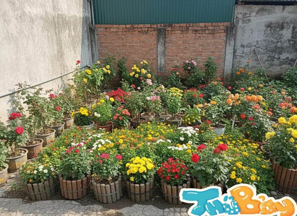 Đất nền Phường Đông Ngạc 46m² giá 5 tỷ - Sổ đỏ chính chủ, ô tô tránh