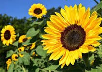 Đất nền kiệt ô tô Trường Chinh, 70m² giá 3 tỷ - Cơ hội đầu tư tốt!